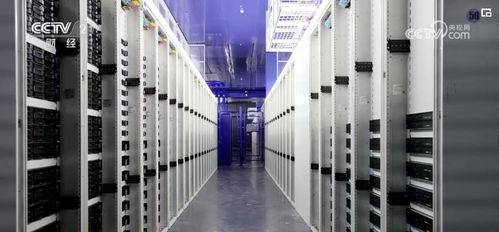 大模型浪潮下，算力租赁资源与人工智能基础软件开发成新焦点